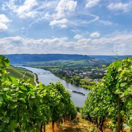 Moselzeit - 