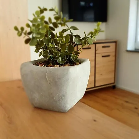 Moselzeit Mehring